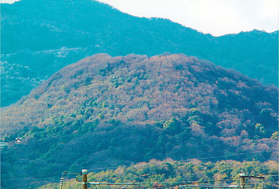 甲山森林公園（甲山）