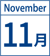 11月
